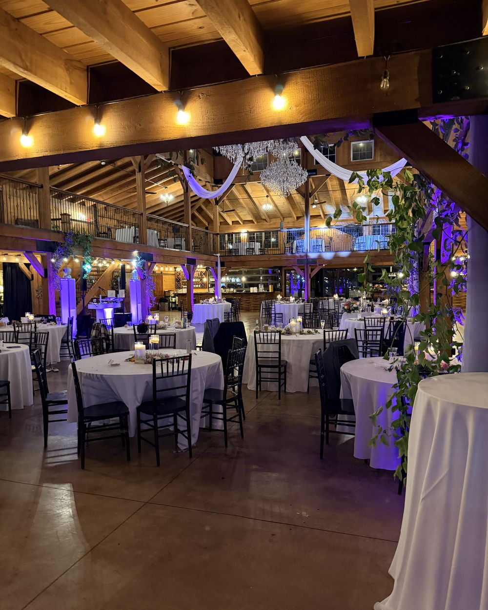 The main hall at Colloca Estate Winery set for dinner, washed in purple uplighting