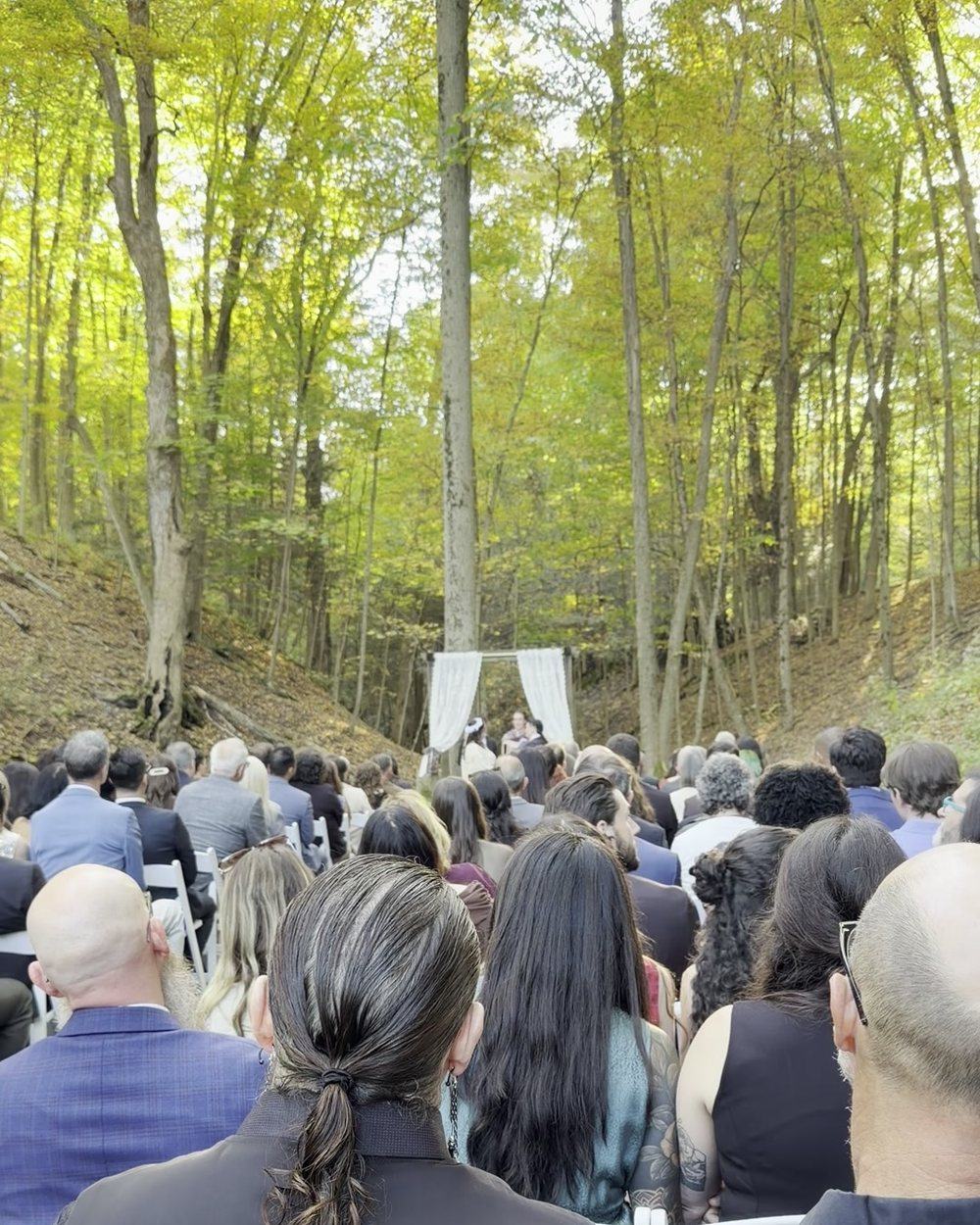 Guests seated for a ceremony in the ravine at New Park, facing the draped arch with autumn trees above